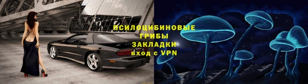МДПВ Володарск