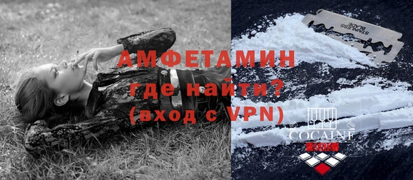 индика Волосово