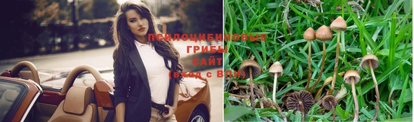 MESCALINE Верея