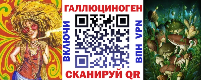 Купить Благодарный Псилоцибиновые грибы Cubensis